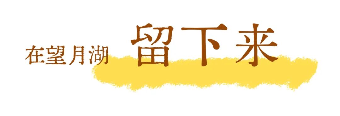 DƬ